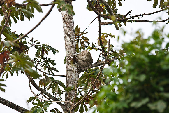 Costa_rica-14