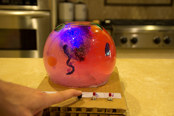 science project3