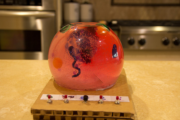 science project2