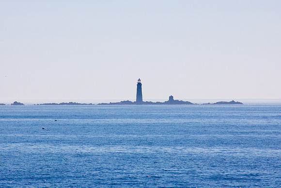 Boston11