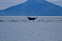 Mimo Honeymoon Drive Pics-Cruise