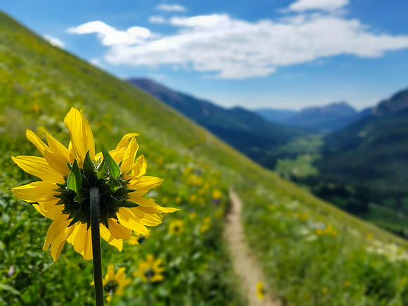 CB_summer_16-35