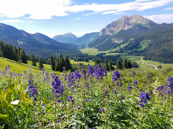 CB_summer_16-38