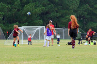Fall Season 2013