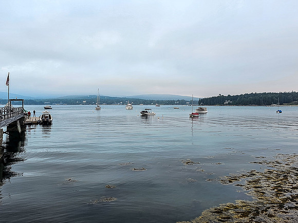 Maine23-5