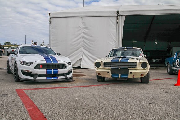 COTA-SVRA-110