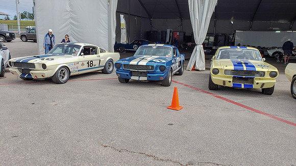COTA-SVRA-174