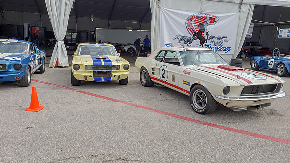 COTA-SVRA-175