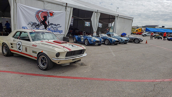COTA-SVRA-176
