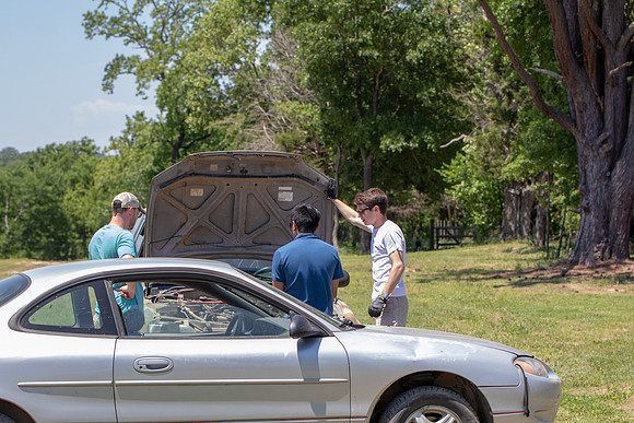 Crawfish_2019-2