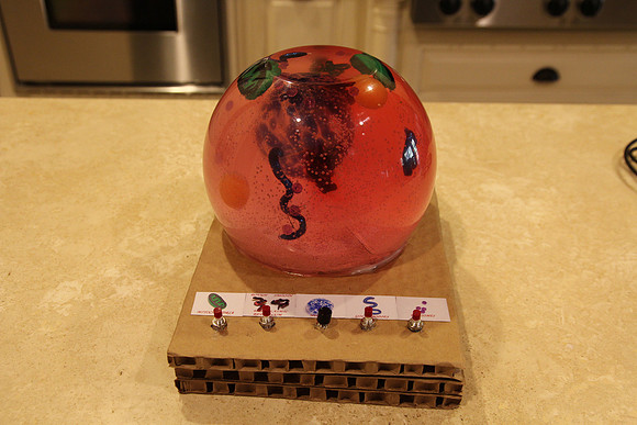 science project9