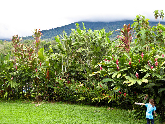 Costa_rica-21