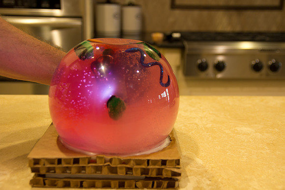 science project6