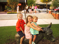 Woodlands
