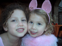 2006