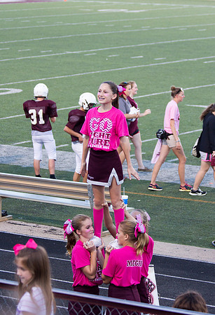 WHJH-2014-PINK6