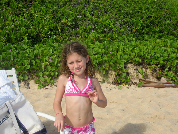 Poipu Beach
