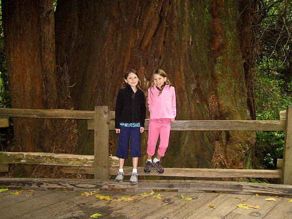 San Francisco-6