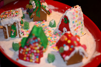Gingerbread House Fun
