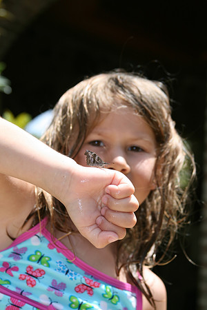 Lauren's Butterfly