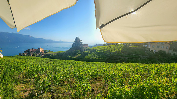 Switzerland_2022-21