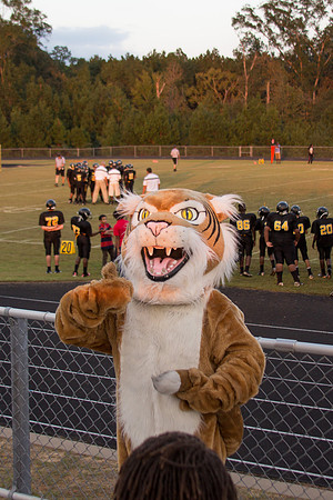 WHJH-2014-NAC6