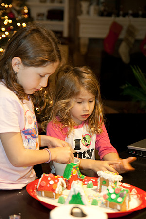 Gingerbread House Fun