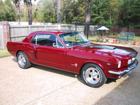 mustang
