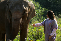Elephant day