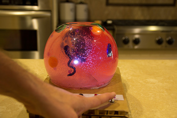 science project4