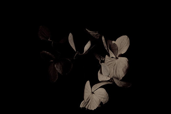 Morgan_camera-7