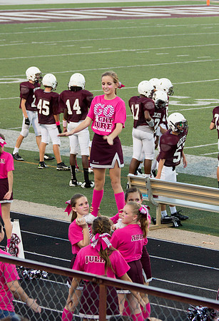 WHJH-2014-PINK5