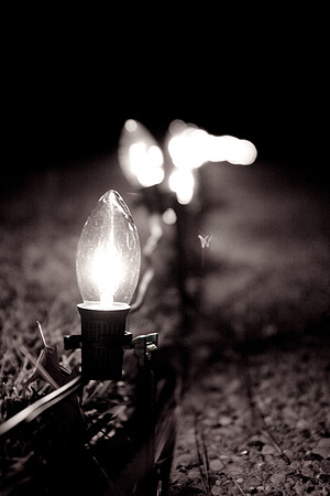 Lights