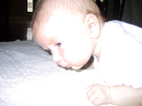 lauren 1-3 months